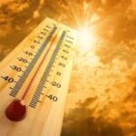  हिमाचल का नया ‘सैरगाह’: भुलाह का बायोडायवर्सिटी पार्क बना पर्यटकों का पसंदीदा ठिकाना