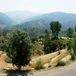 कुल्लू; किशोरों ने जानीं मानसिक स्वास्थ्य की बारीकियां